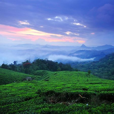 Violet Woods Hotel Munnar Exterior foto